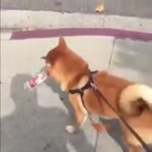 360x360