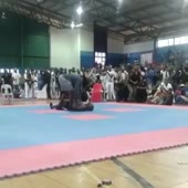 360x360