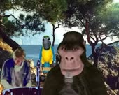 450x360