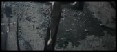 1000x450