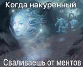 600x481