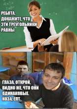 430x604