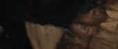640x268