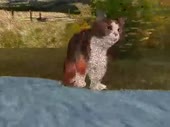 480x360