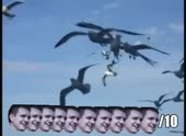 490x360
