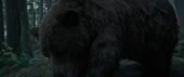 1200x502