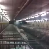 360x360