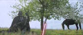 640x270
