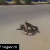 360x360