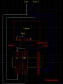 590x788