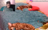 576x360