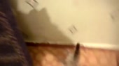 640x360