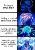 543x768