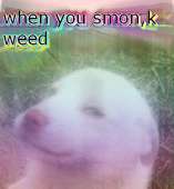 402x434