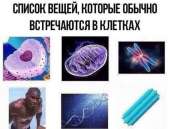 600x456