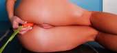 600x272