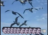 490x360