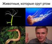 720x620