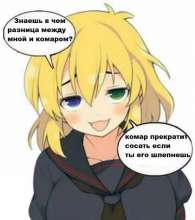 536x604