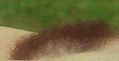 179x92