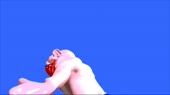 1280x720