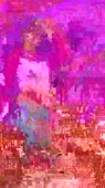 810x1440