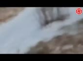 490x360