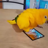 720x720