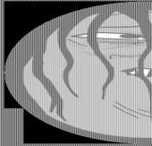 500x480