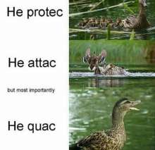 460x447