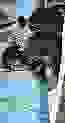65x123