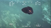 640x360