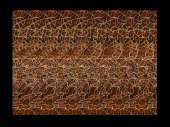 1200x900