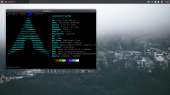 1366x768