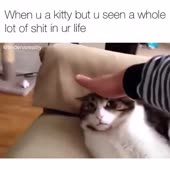 360x360