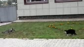 640x360