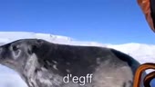 480x272