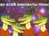 602x445