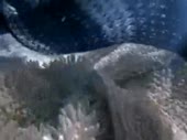 480x360