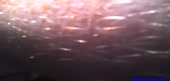 540x260