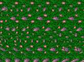 640x480