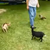 360x360