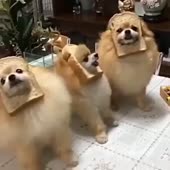 360x360