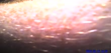 540x260