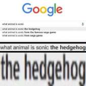 500x500