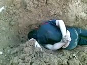 320x240