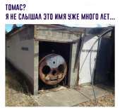 750x686