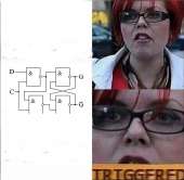 502x493