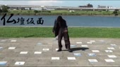 512x288