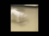 480x360